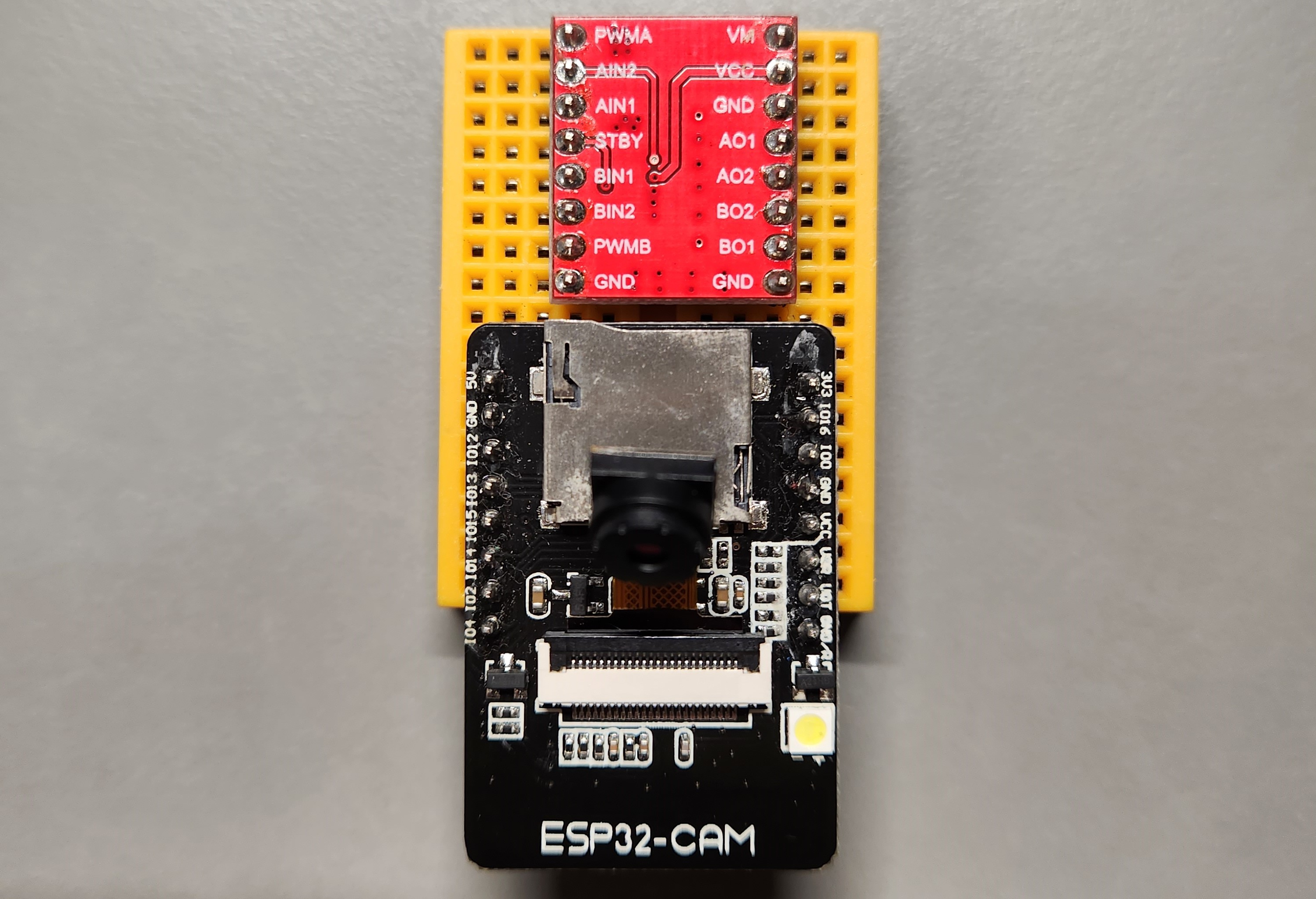 ESP 32